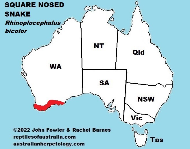 Approximate distribution of the Square Nosed Snake (Rhinoplocephalus bicolor)